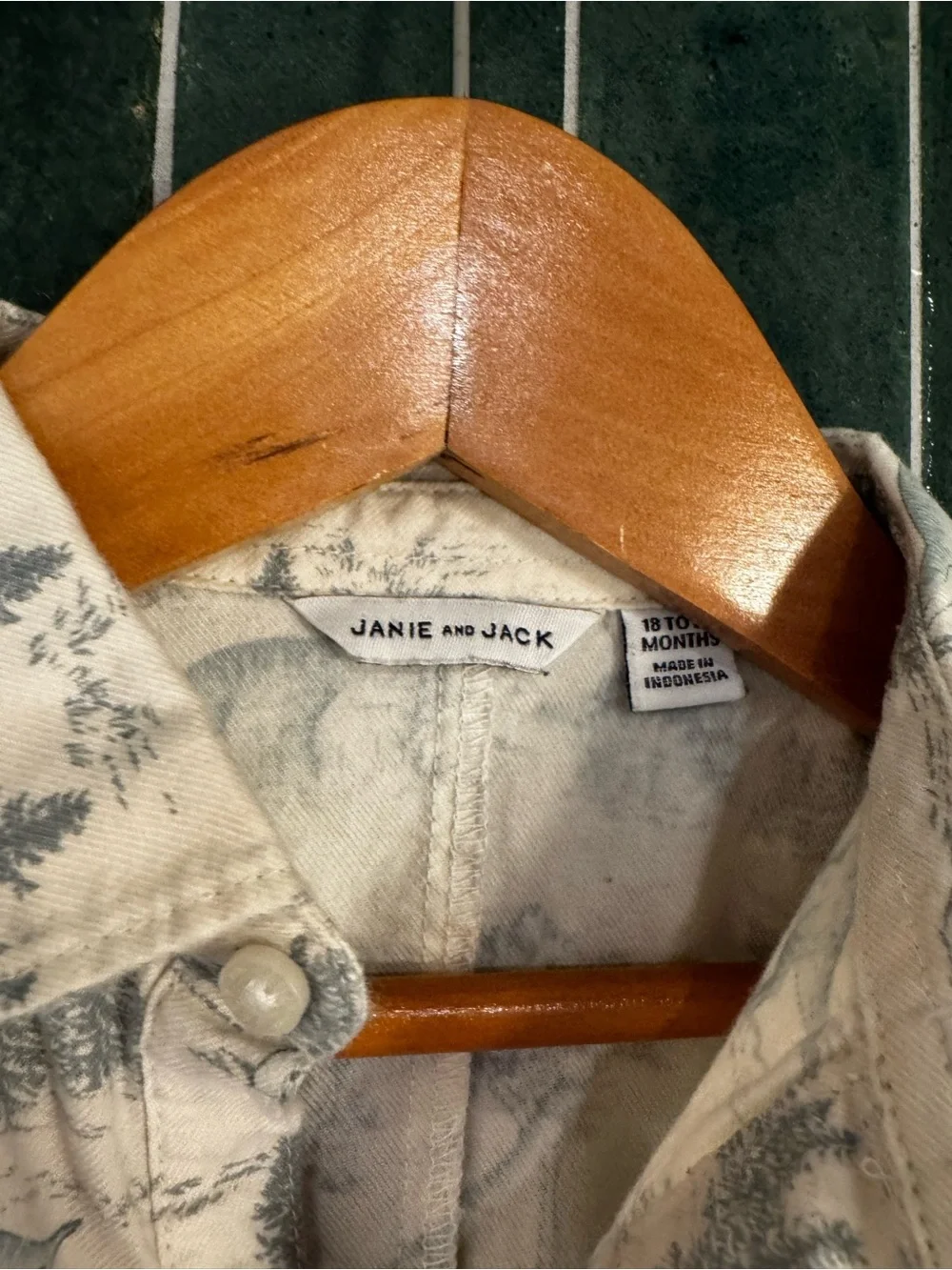 Janie and Jack dinosaur romper